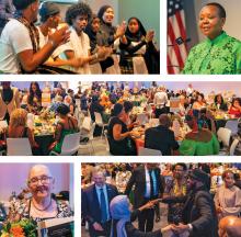 Collage of images from Gala