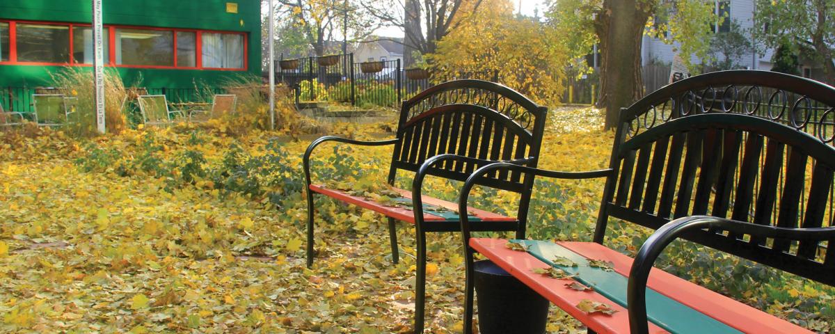 Benches in autumn with red, orange and yellow maple leaves covering the ground