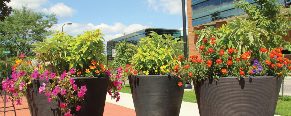 Hero image of potted plats outside of ADC Minnesota building